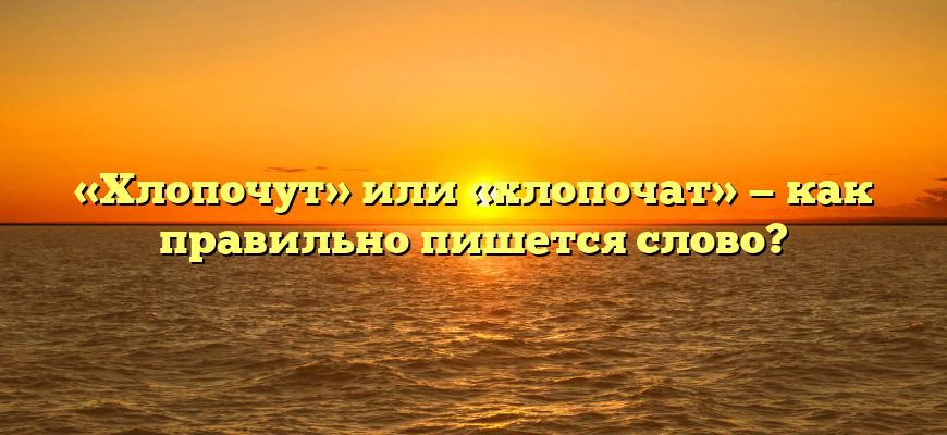 «Хлопочут» или «хлопочат» — как правильно пишется слово?
